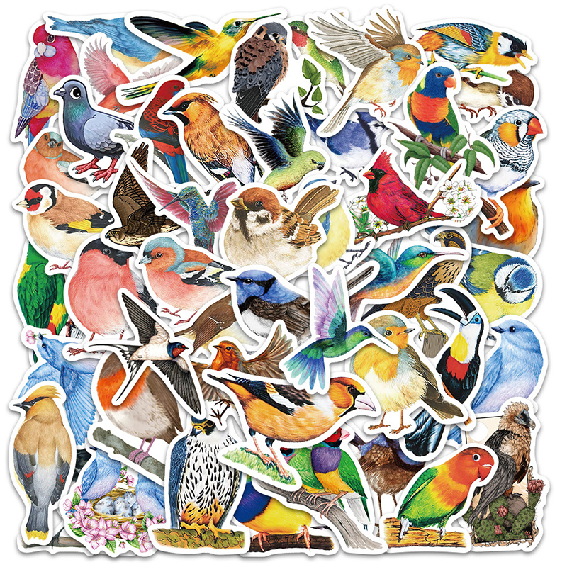 50PCS Watercolor Bird Graffiti - Phone Cases Kids review and price